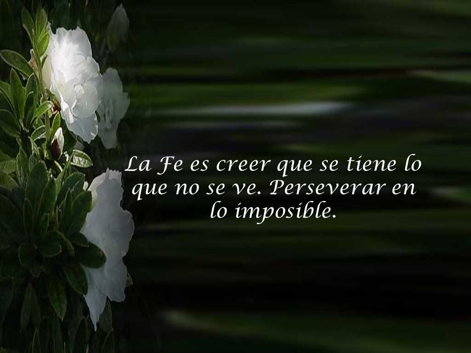 La Fe es creer que se tiene lo que no se ve. Perseverar en lo imposible.