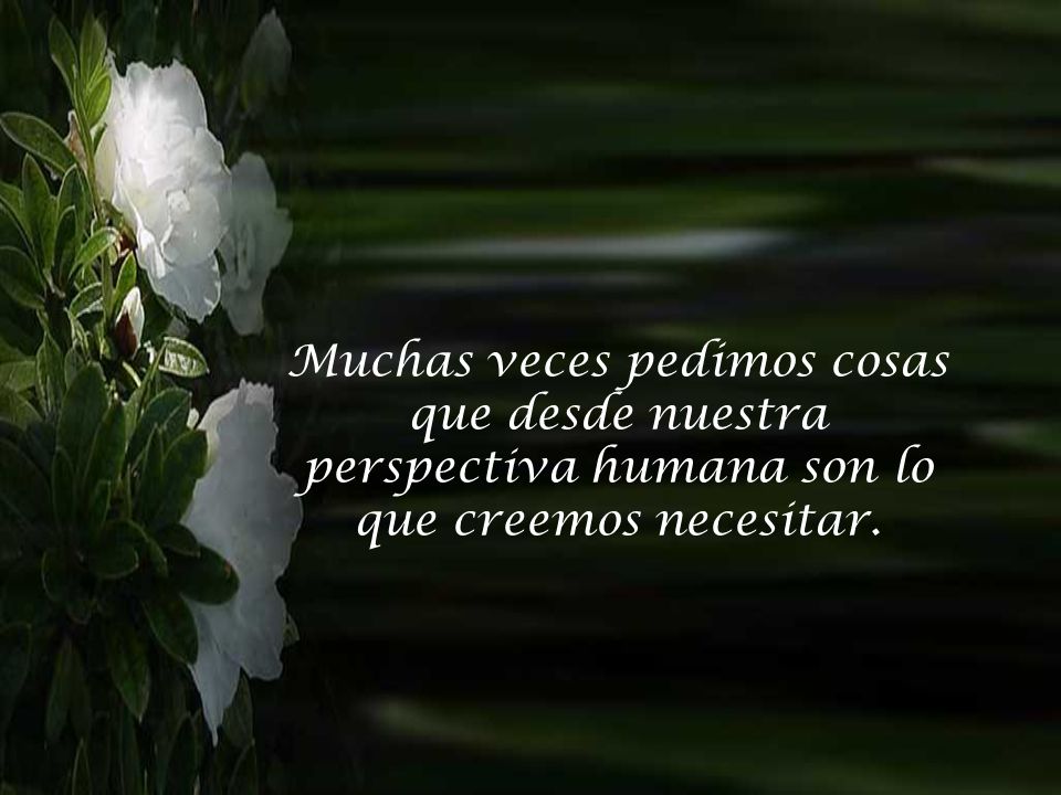 Muchas veces pedimos cosas que desde nuestra perspectiva humana son lo que creemos necesitar.