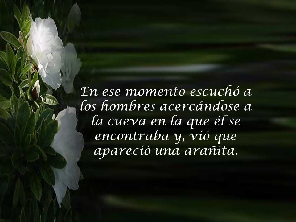 En ese momento escuchó a los hombres acercándose a la cueva en la que él se encontraba y, vió que apareció una arañita.