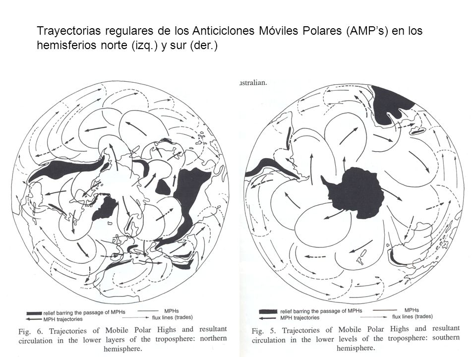 Trayectorias regulares de los Anticiclones Móviles Polares (AMP’s) en los hemisferios norte (izq.) y sur (der.)