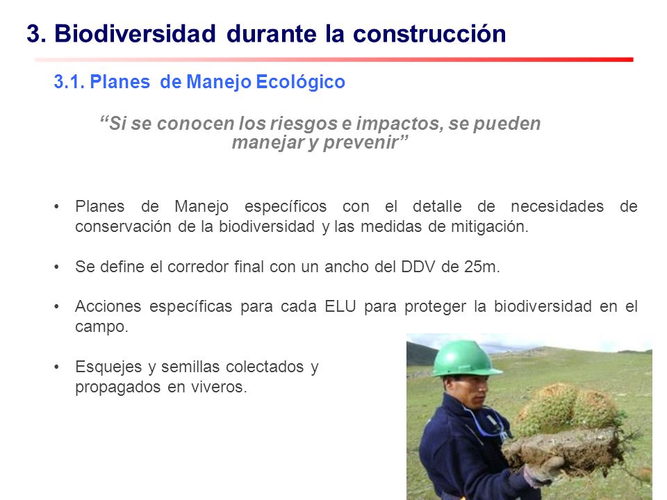 3. Biodiversidad durante la construcción