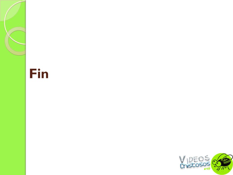 Fin