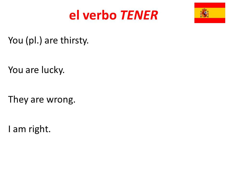 You (pl.) are thirsty. You are lucky. They are wrong. I am right.