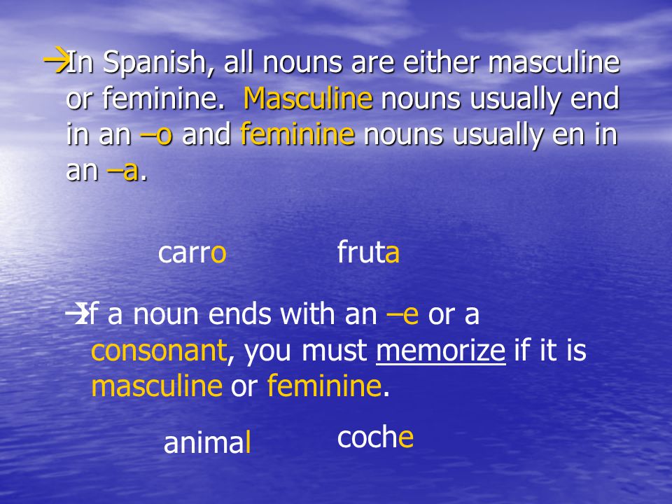 In Spanish, all nouns are either masculine or feminine