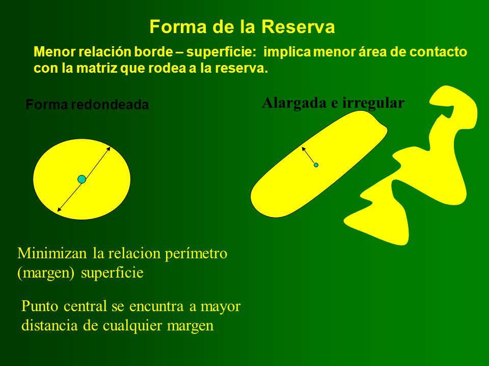 Forma de la Reserva Alargada e irregular