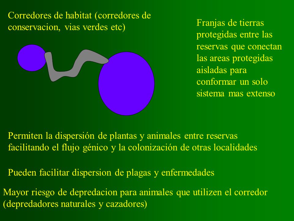 Corredores de habitat (corredores de conservacion, vias verdes etc)