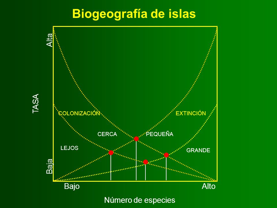 Biogeografía de islas Baja Alta TASA Bajo Alto Número de especies