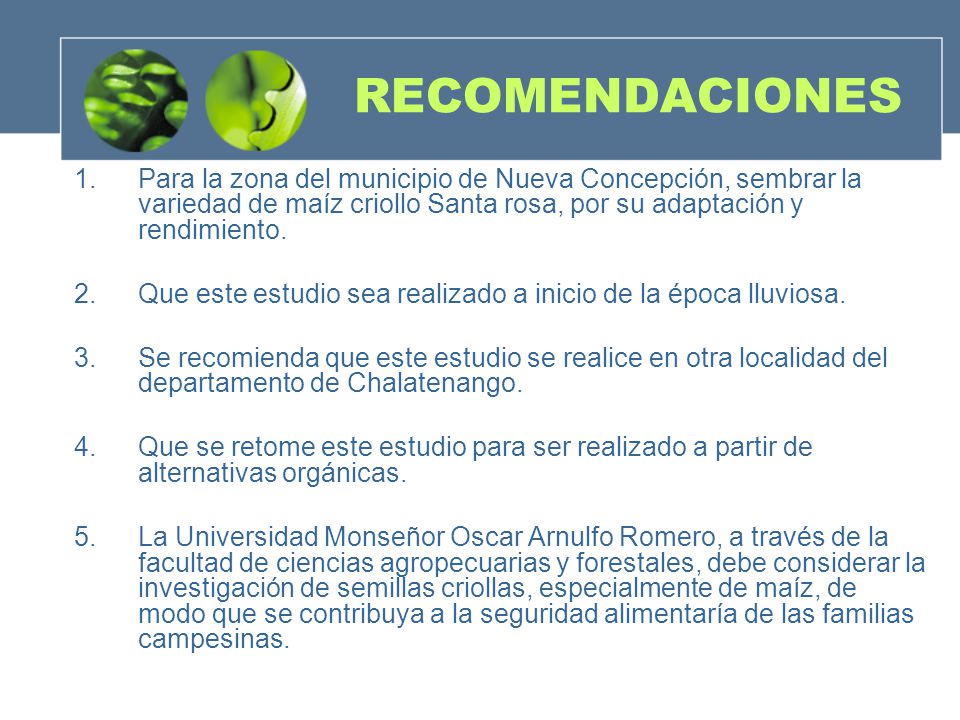 RECOMENDACIONES Para la zona del municipio de Nueva Concepción, sembrar la variedad de maíz criollo Santa rosa, por su adaptación y rendimiento.