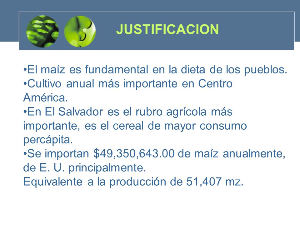 JUSTIFICACION El maíz es fundamental en la dieta de los pueblos.