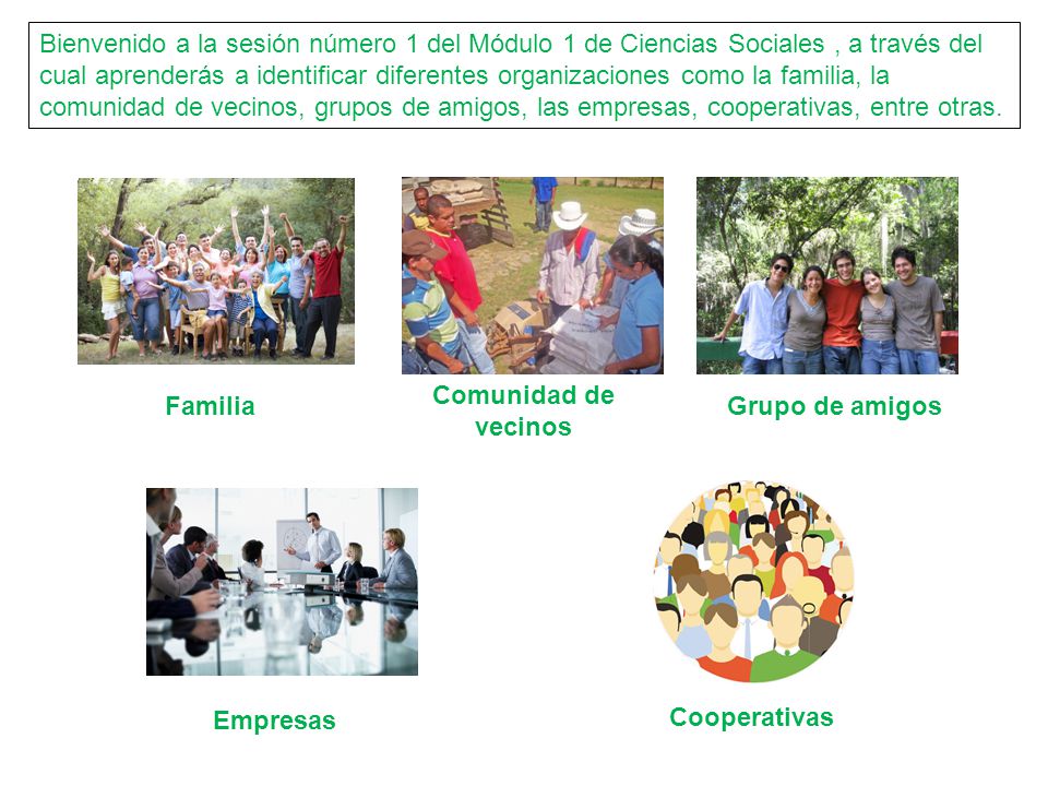 Realizar una galería con las imágenes que se presenta, cada imagen debe ir acompañada de su respectivo sonido, de manera que al ir pasando las imágenes al seleccionarla el estudiante la relacione.