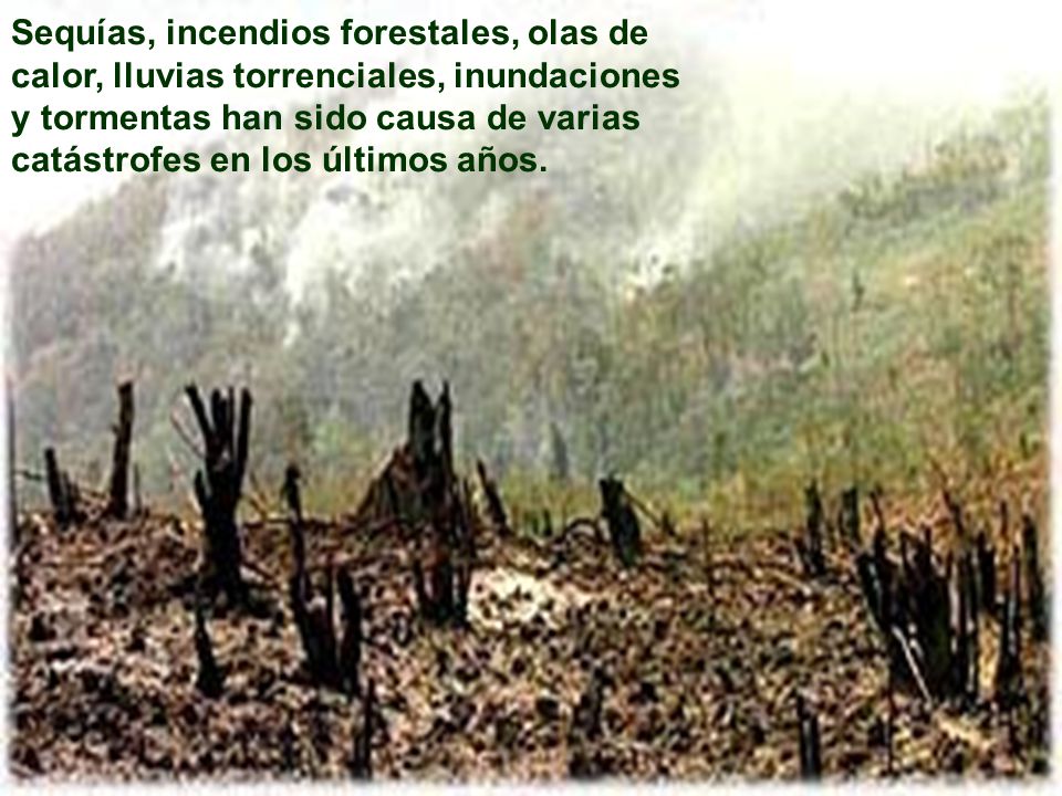 Sequías, incendios forestales, olas de calor, lluvias torrenciales, inundaciones y tormentas han sido causa de varias catástrofes en los últimos años.