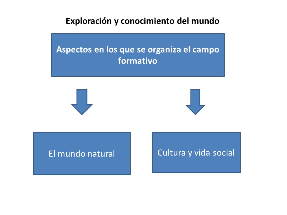 Aspectos en los que se organiza el campo formativo