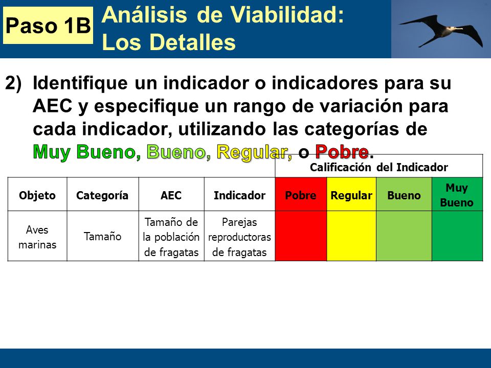 Calificación del Indicador