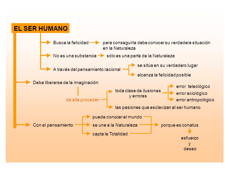 EL SER HUMANO Busca la felicidad