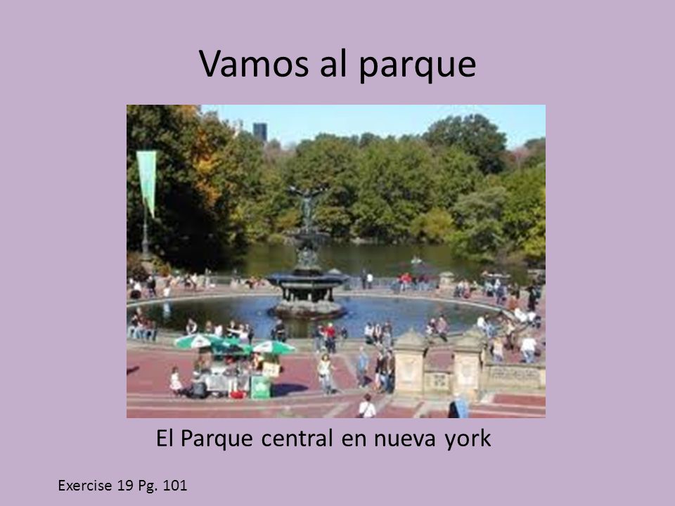 Vamos al parque El Parque central en nueva york Exercise 19 Pg. 101