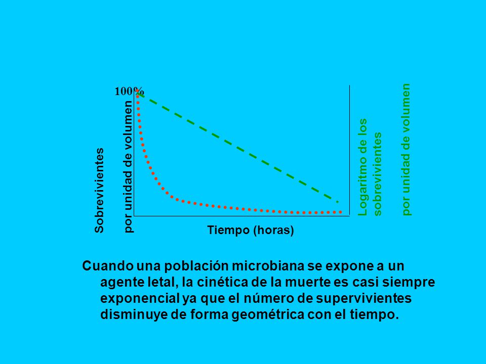 por unidad de volumen Sobrevivientes. 100% Logaritmo de los sobrevivientes. Tiempo (horas)