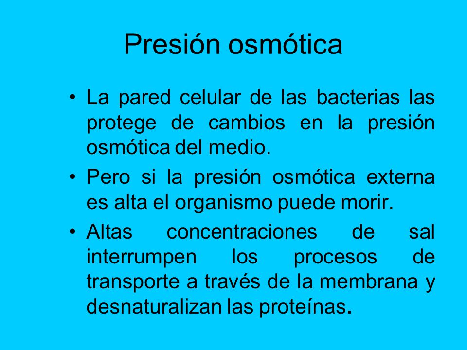 Presión osmótica La pared celular de las bacterias las protege de cambios en la presión osmótica del medio.