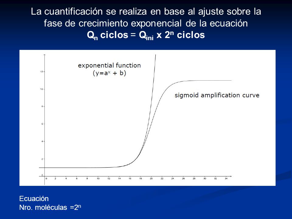 La cuantificación se realiza en base al ajuste sobre la fase de crecimiento exponencial de la ecuación Qn ciclos = Qini x 2n ciclos