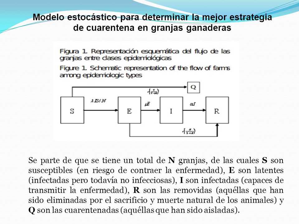 Modelo estocástico para determinar la mejor estrategia de cuarentena en granjas ganaderas