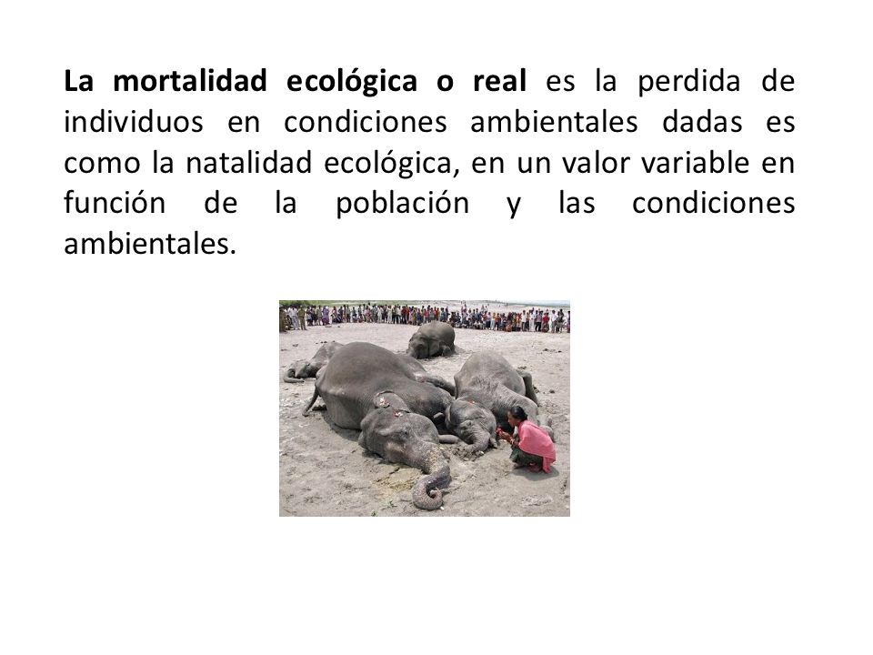 La mortalidad ecológica o real es la perdida de individuos en condiciones ambientales dadas es como la natalidad ecológica, en un valor variable en función de la población y las condiciones ambientales.