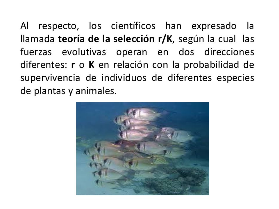 Al respecto, los científicos han expresado la llamada teoría de la selección r/K, según la cual las fuerzas evolutivas operan en dos direcciones diferentes: r o K en relación con la probabilidad de supervivencia de individuos de diferentes especies de plantas y animales.