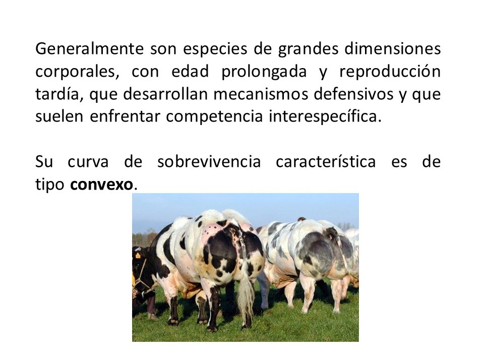 Generalmente son especies de grandes dimensiones corporales, con edad prolongada y reproducción tardía, que desarrollan mecanismos defensivos y que suelen enfrentar competencia interespecífica.