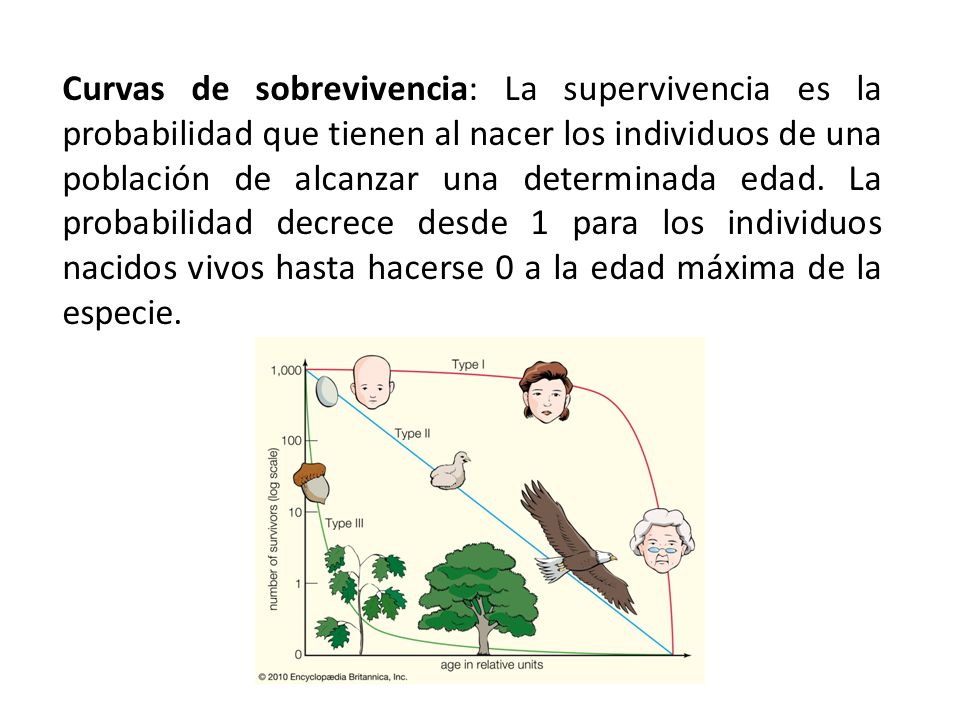 Curvas de sobrevivencia: La supervivencia es la probabilidad que tienen al nacer los individuos de una población de alcanzar una determinada edad.