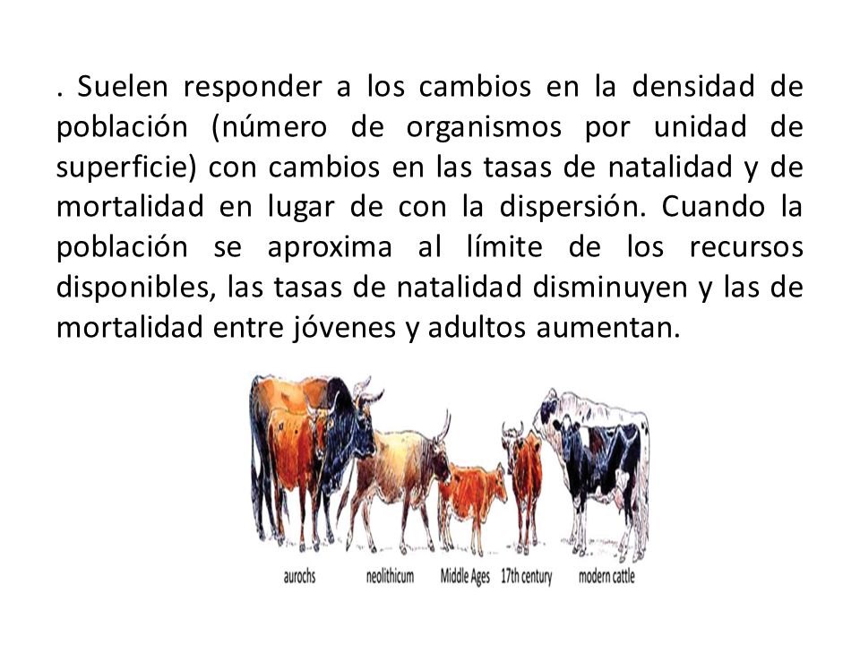 Suelen responder a los cambios en la densidad de población (número de organismos por unidad de superficie) con cambios en las tasas de natalidad y de mortalidad en lugar de con la dispersión.