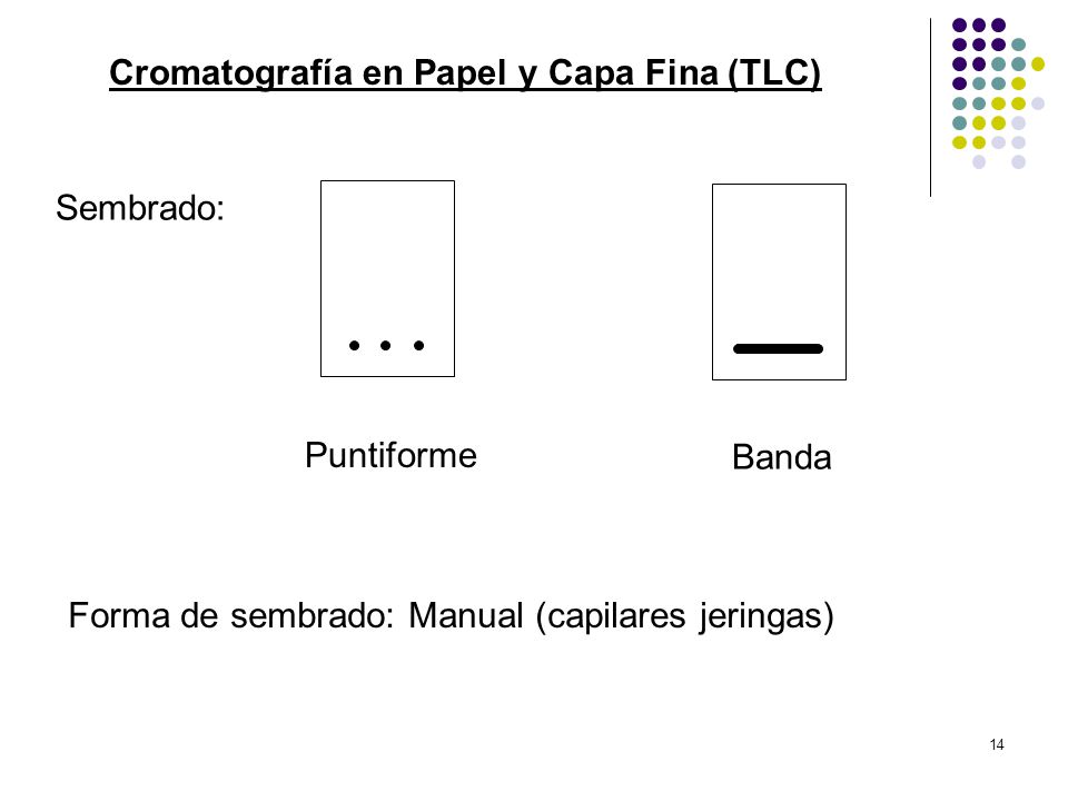 Cromatografía en Papel y Capa Fina (TLC)