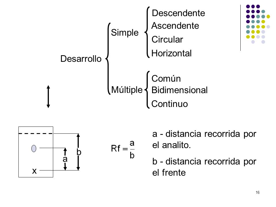 Desarrollo Simple. Múltiple. Descendente. Ascendente. Circular. Horizontal. Común. Bidimensional.