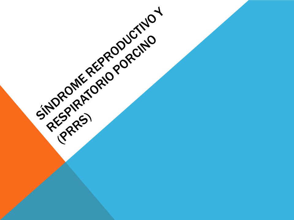 Síndrome Reproductivo y respiratorio porcino (prrs)