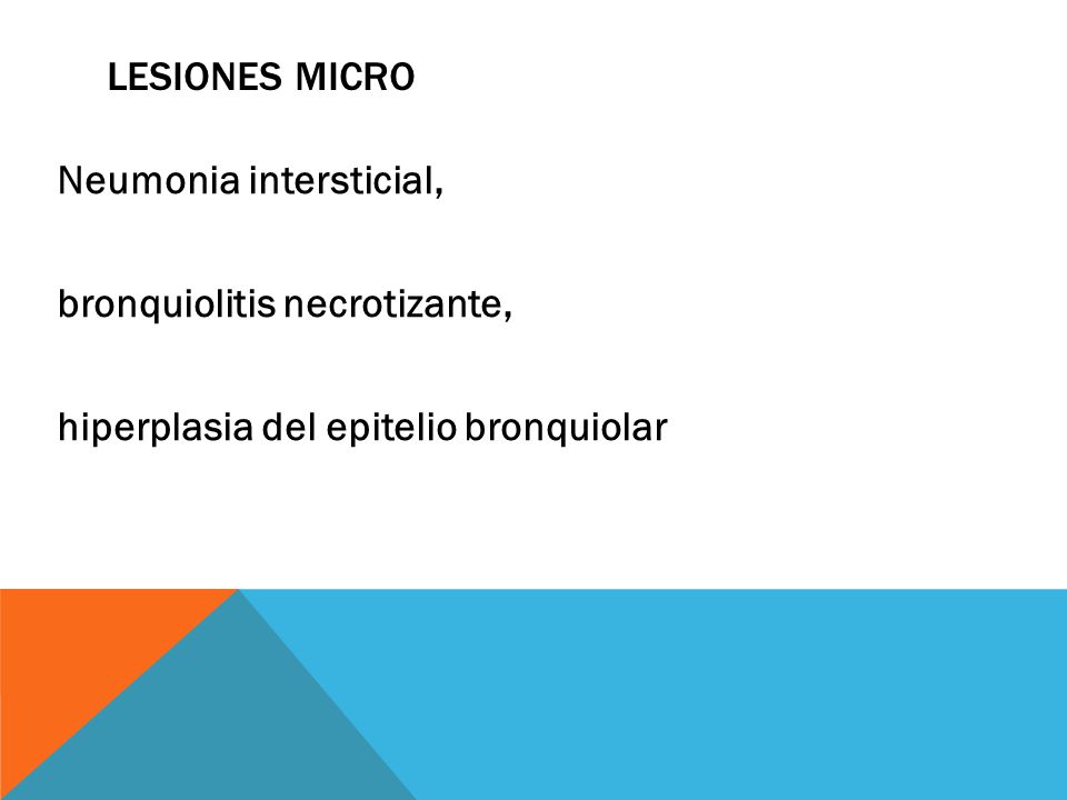 Lesiones micro Neumonia intersticial, bronquiolitis necrotizante, hiperplasia del epitelio bronquiolar