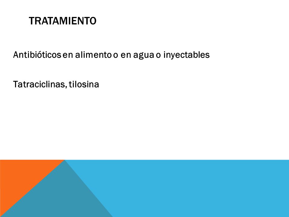 tratamiento Antibióticos en alimento o en agua o inyectables Tatraciclinas, tilosina