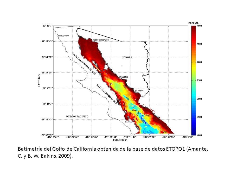 Batimetría del Golfo de California obtenida de la base de datos ETOPO1 (Amante, C.