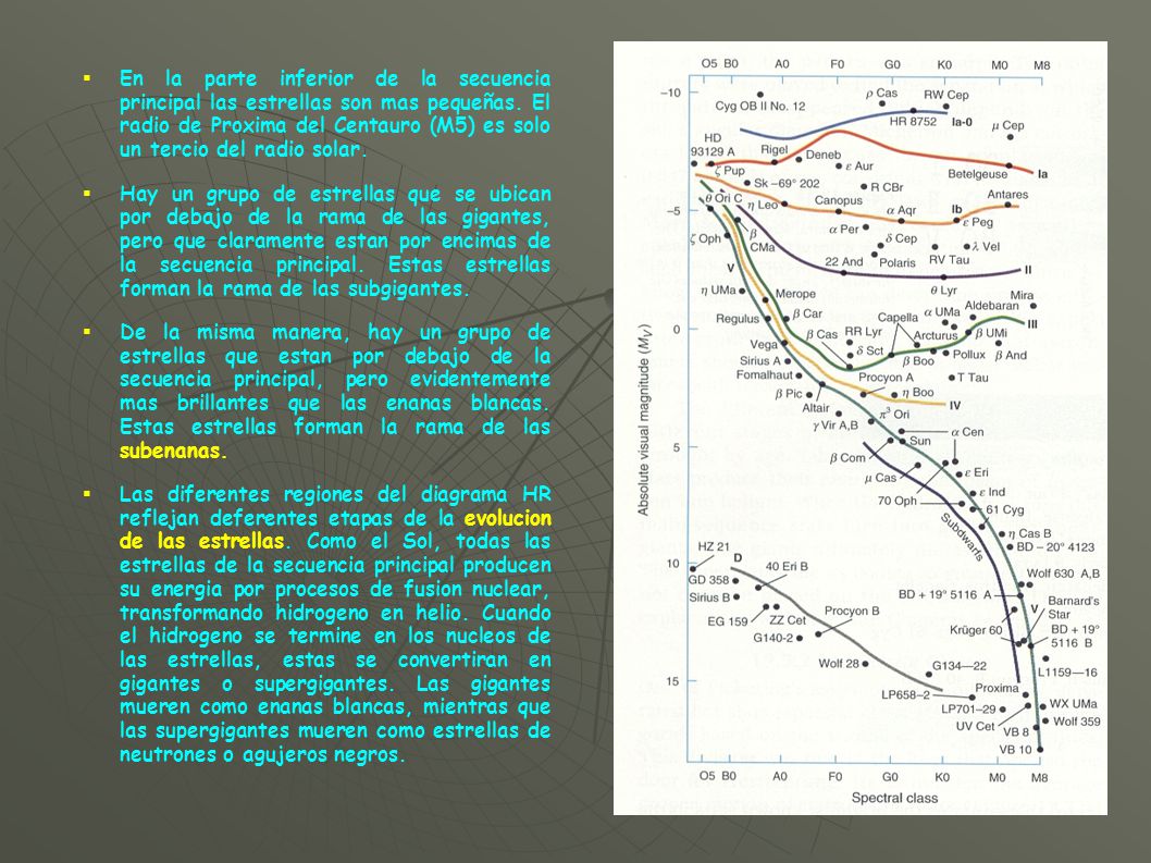 En la parte inferior de la secuencia principal las estrellas son mas pequeñas. El radio de Proxima del Centauro (M5) es solo un tercio del radio solar.