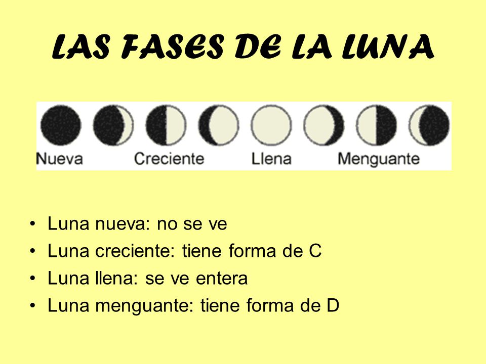 LAS FASES DE LA LUNA Luna nueva: no se ve