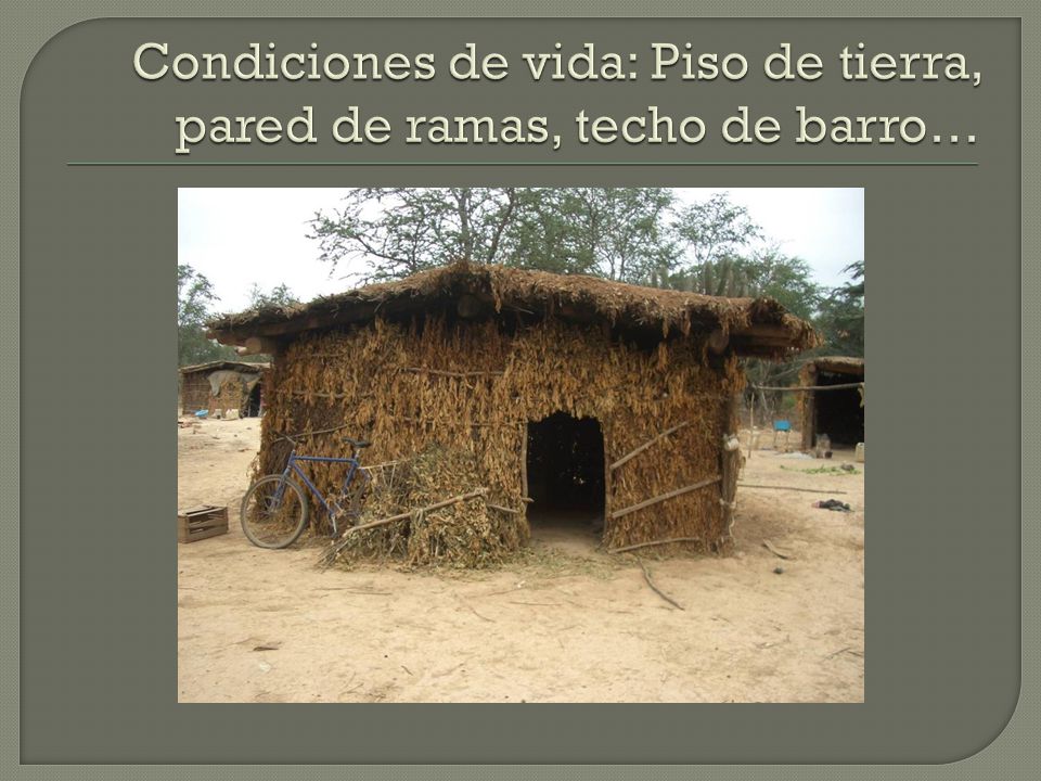 Condiciones de vida: Piso de tierra, pared de ramas, techo de barro…