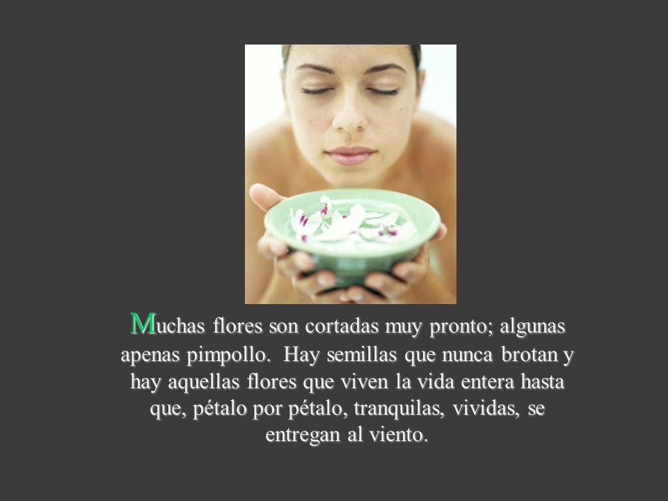 Muchas flores son cortadas muy pronto; algunas apenas pimpollo