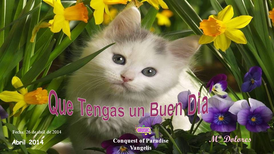 Que Tengas un Buen Dia Mª Dolores Conquest of Paradise Abril 2014