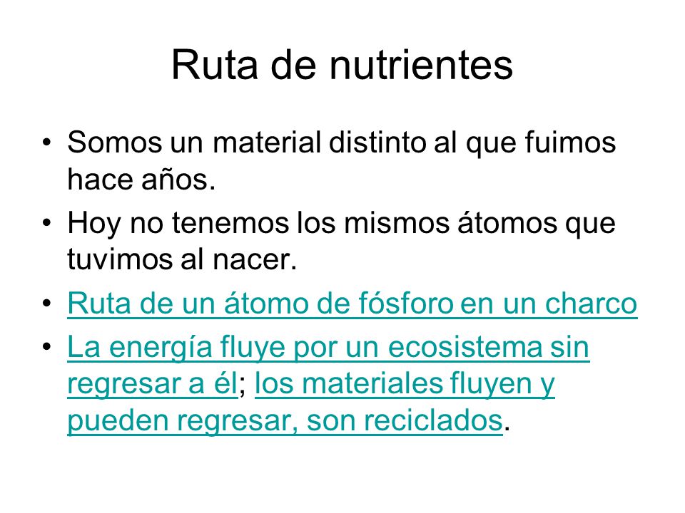 Ruta de nutrientes Somos un material distinto al que fuimos hace años.
