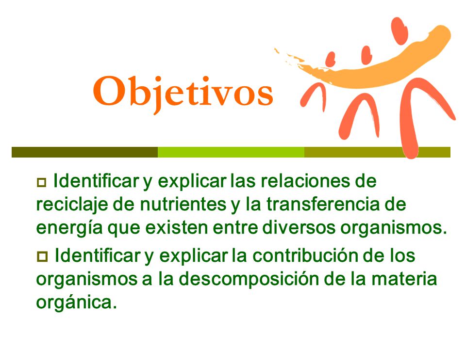 Objetivos Identificar y explicar las relaciones de reciclaje de nutrientes y la transferencia de energía que existen entre diversos organismos.