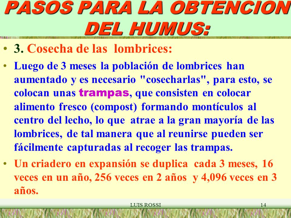 PASOS PARA LA OBTENCION DEL HUMUS: