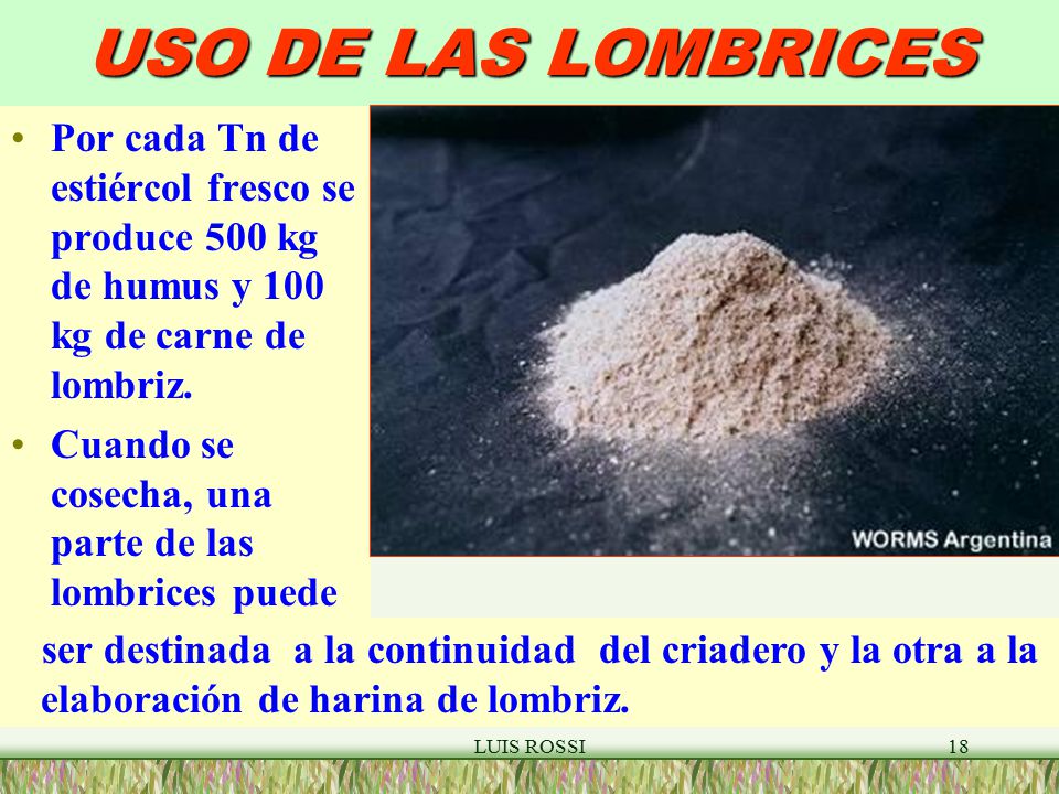 USO DE LAS LOMBRICES Por cada Tn de estiércol fresco se produce 500 kg de humus y 100 kg de carne de lombriz.