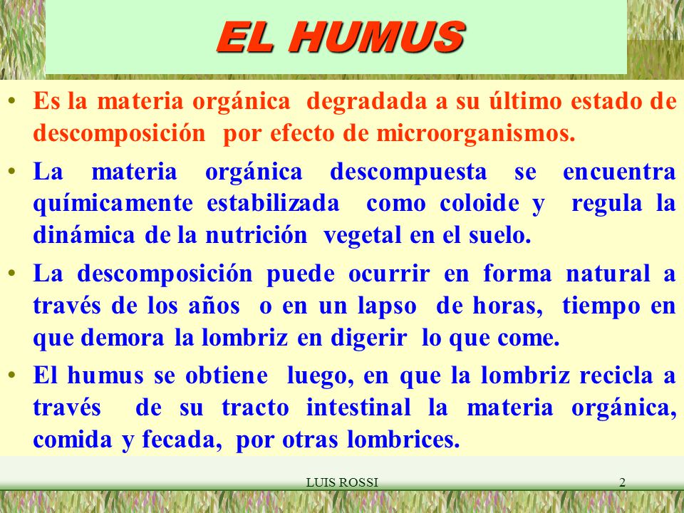 EL HUMUS Es la materia orgánica degradada a su último estado de descomposición por efecto de microorganismos.