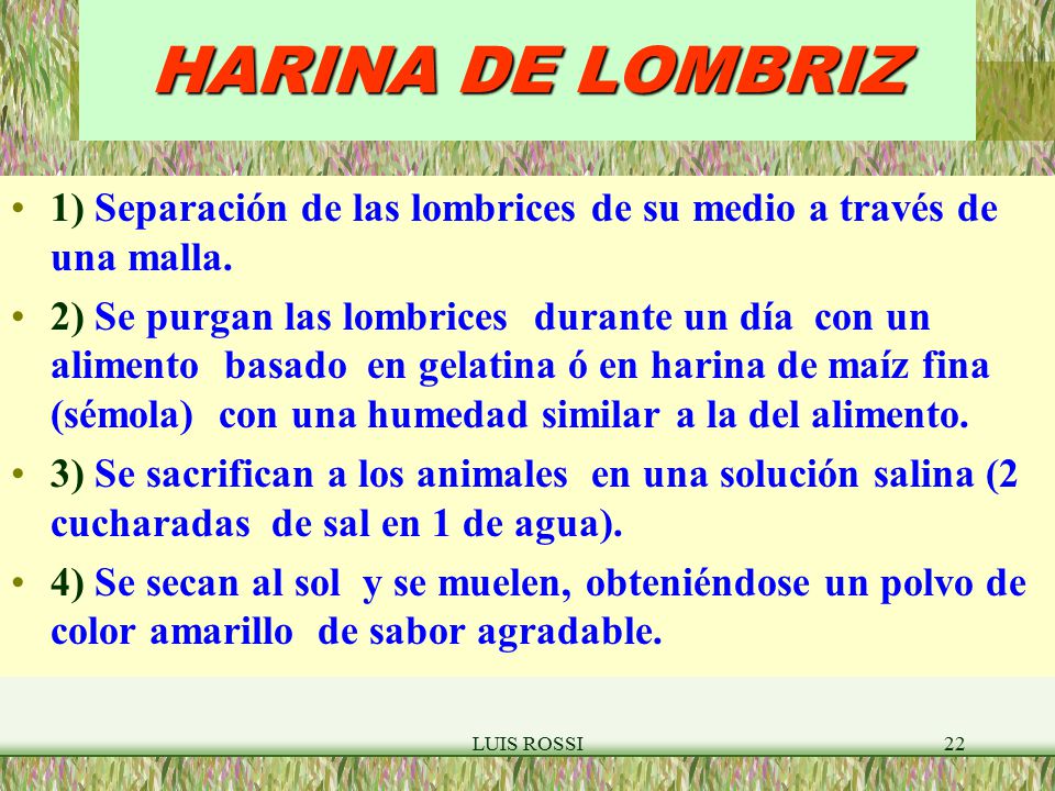 HARINA DE LOMBRIZ 1) Separación de las lombrices de su medio a través de una malla.
