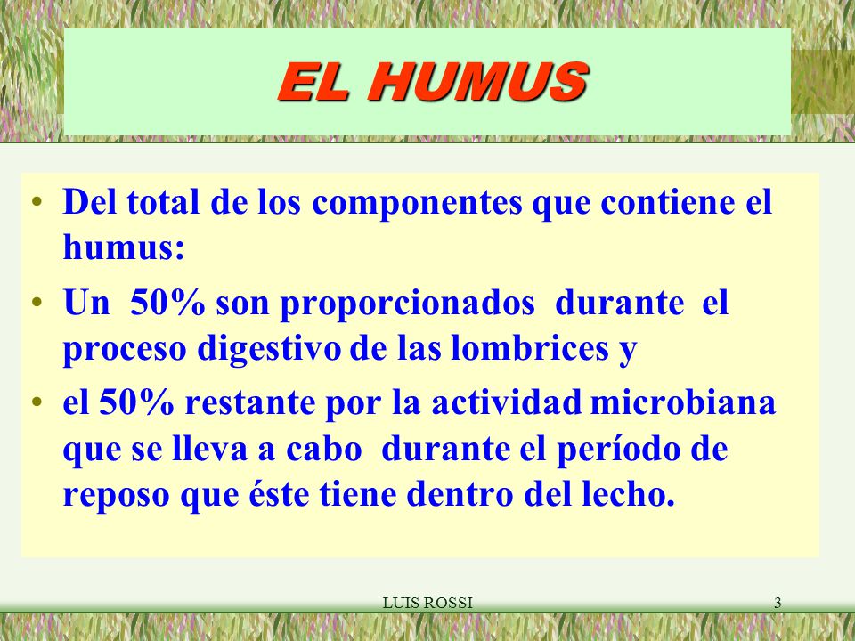 EL HUMUS Del total de los componentes que contiene el humus: