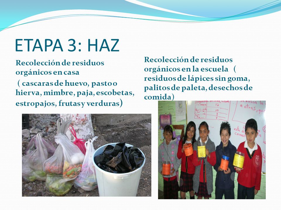 ETAPA 3: HAZ Recolección de residuos orgánicos en casa. ( cascaras de huevo, pasto o hierva, mimbre, paja, escobetas, estropajos, frutas y verduras)