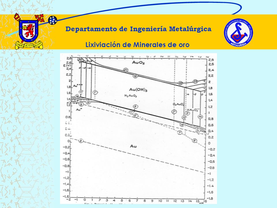 Departamento de Ingeniería Metalúrgica Lixiviación de Minerales de oro