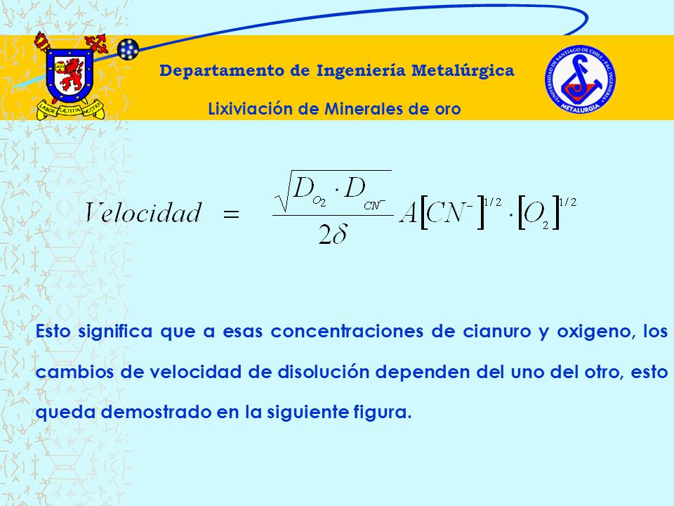 Departamento de Ingeniería Metalúrgica Lixiviación de Minerales de oro