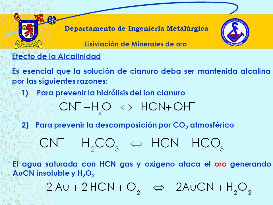 Departamento de Ingeniería Metalúrgica Lixiviación de Minerales de oro